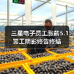 三星电子员工涨薪5.1% 罢工阴影终告终结(图1) 三星电子员工涨薪5.1% 罢工阴影终告终结(图1)