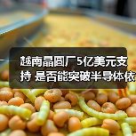 越南晶圆厂5亿美元支持 是否能突破半导体依赖?(图2) 越南晶圆厂5亿美元支持 是否能突破半导体依赖?(图2)