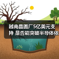 越南晶圆厂5亿美元支持 是否能突破半导体依赖?(图3) 越南晶圆厂5亿美元支持 是否能突破半导体依赖?(图3)