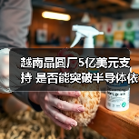 越南晶圆厂5亿美元支持 是否能突破半导体依赖?(图4) 越南晶圆厂5亿美元支持 是否能突破半导体依赖?(图4)