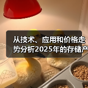 从技术、应用和价格走势分析2025年的存储产业(图1) 从技术、应用和价格走势分析2025年的存储产业(图1)