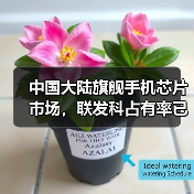 中国大陆旗舰手机芯片市场,联发科占有率已达40%(图2) 中国大陆旗舰手机芯片市场,联发科占有率已达40%(图2)