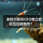 英特尔新任CEO陈立武能否扭转颓势?(图2) 英特尔新任CEO陈立武能否扭转颓势?(图2)