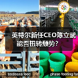英特尔新任CEO陈立武能否扭转颓势?(图1) 英特尔新任CEO陈立武能否扭转颓势?(图1)