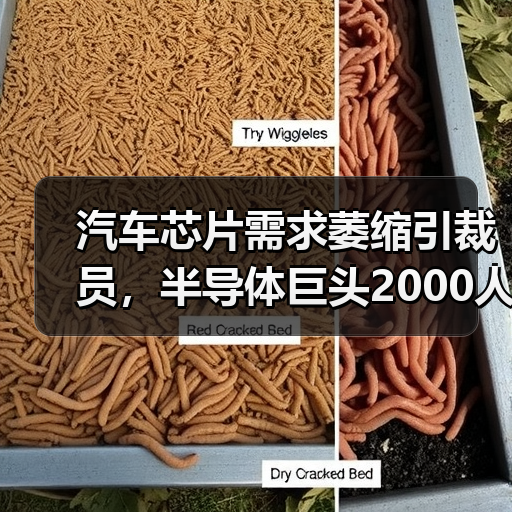 汽车芯片需求萎缩引裁员,半导体巨头2000人减员应对市场寒冬(图4) 汽车芯片需求萎缩引裁员,半导体巨头2000人减员应对市场寒冬(图4)