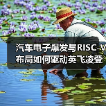 汽车电子爆发与RISC-V布局如何驱动英飞凌登顶MCU市场?(图3) 汽车电子爆发与RISC-V布局如何驱动英飞凌登顶MCU市场?(图3)