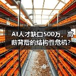 AI人才缺口500万,高薪背后的结构性危机?(图2) AI人才缺口500万,高薪背后的结构性危机?(图2)