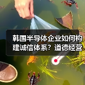 韩国半导体企业如何构建诚信体系?道德经营获全球认可(图4) 韩国半导体企业如何构建诚信体系?道德经营获全球认可(图4)