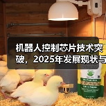 机器人控制芯片技术突破,2025年发展现状与趋势(图1) 机器人控制芯片技术突破,2025年发展现状与趋势(图1)