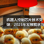 机器人控制芯片技术突破,2025年发展现状与趋势(图4) 机器人控制芯片技术突破,2025年发展现状与趋势(图4)