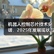 机器人控制芯片技术突破,2025年发展现状与趋势(图3) 机器人控制芯片技术突破,2025年发展现状与趋势(图3)