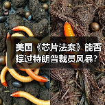 美国《芯片法案》能否撑过特朗普裁员风暴?(图4) 美国《芯片法案》能否撑过特朗普裁员风暴?(图4)