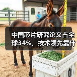 中国芯片研究论文占全球34%,技术领先靠什么?(图3) 中国芯片研究论文占全球34%,技术领先靠什么?(图3)