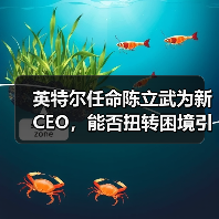 英特尔任命陈立武为新CEO,能否扭转困境引发关注(图3) 英特尔任命陈立武为新CEO,能否扭转困境引发关注(图3)