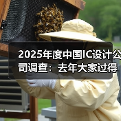2025年度中国IC设计公司调查:去年大家过得怎么样?(图2) 2025年度中国IC设计公司调查:去年大家过得怎么样?(图2)