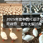 2025年度中国IC设计公司调查:去年大家过得怎么样?(图3) 2025年度中国IC设计公司调查:去年大家过得怎么样?(图3)