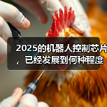 2025的机器人控制芯片,已经发展到何种程度了?(图1) 2025的机器人控制芯片,已经发展到何种程度了?(图1)