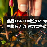 美国USPTO裁定EPC专利指控无效 恶意竞争被驳回(图2) 美国USPTO裁定EPC专利指控无效 恶意竞争被驳回(图2)