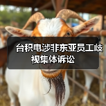 台积电涉非东亚员工歧视集体诉讼(图2) 台积电涉非东亚员工歧视集体诉讼(图2)