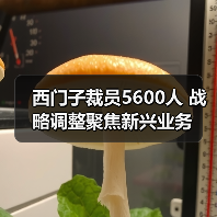 西门子裁员5600人 战略调整聚焦新兴业务(图3) 西门子裁员5600人 战略调整聚焦新兴业务(图3)
