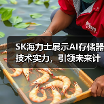 SK海力士展示AI存储器技术实力,引领未来计算(图4) SK海力士展示AI存储器技术实力,引领未来计算(图4)