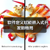 软件定义赋能嵌入式开发新格局(图3) 软件定义赋能嵌入式开发新格局(图3)
