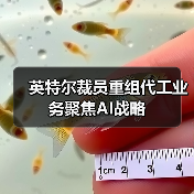 英特尔裁员重组代工业务聚焦AI战略(图1) 英特尔裁员重组代工业务聚焦AI战略(图1)
