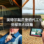 英特尔裁员重组代工业务聚焦AI战略(图4) 英特尔裁员重组代工业务聚焦AI战略(图4)