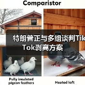 特朗普正与多组谈判TikTok剥离方案(图3) 特朗普正与多组谈判TikTok剥离方案(图3)