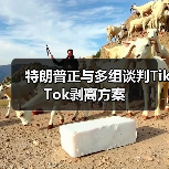 特朗普正与多组谈判TikTok剥离方案(图4) 特朗普正与多组谈判TikTok剥离方案(图4)