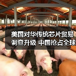 美国对华传统芯片贸易调查升级 中国抢占全球产能(图3) 美国对华传统芯片贸易调查升级 中国抢占全球产能(图3)