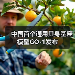中国首个通用具身基座模型GO-1发布(图3) 中国首个通用具身基座模型GO-1发布(图3)