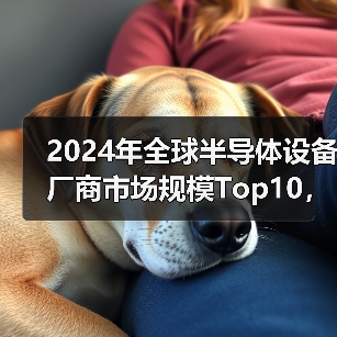 2024年全球半导体设备厂商市场规模Top10,北方华创排名第六(图3) 2024年全球半导体设备厂商市场规模Top10,北方华创排名第六(图3)