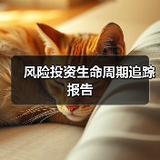 风险投资生命周期追踪报告(图3) 风险投资生命周期追踪报告(图3)