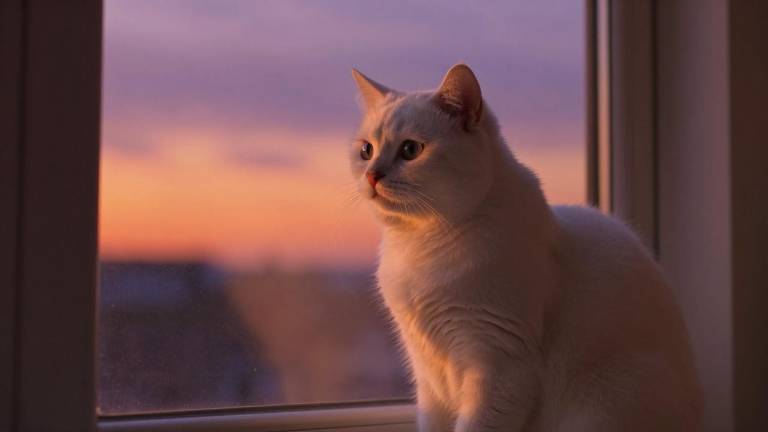 我国首款猴痘疫苗获批临床;复星医药A型肉毒素获批上市 我国首款猴痘疫苗获批临床;复星医药A型肉毒素获批上市第一张图