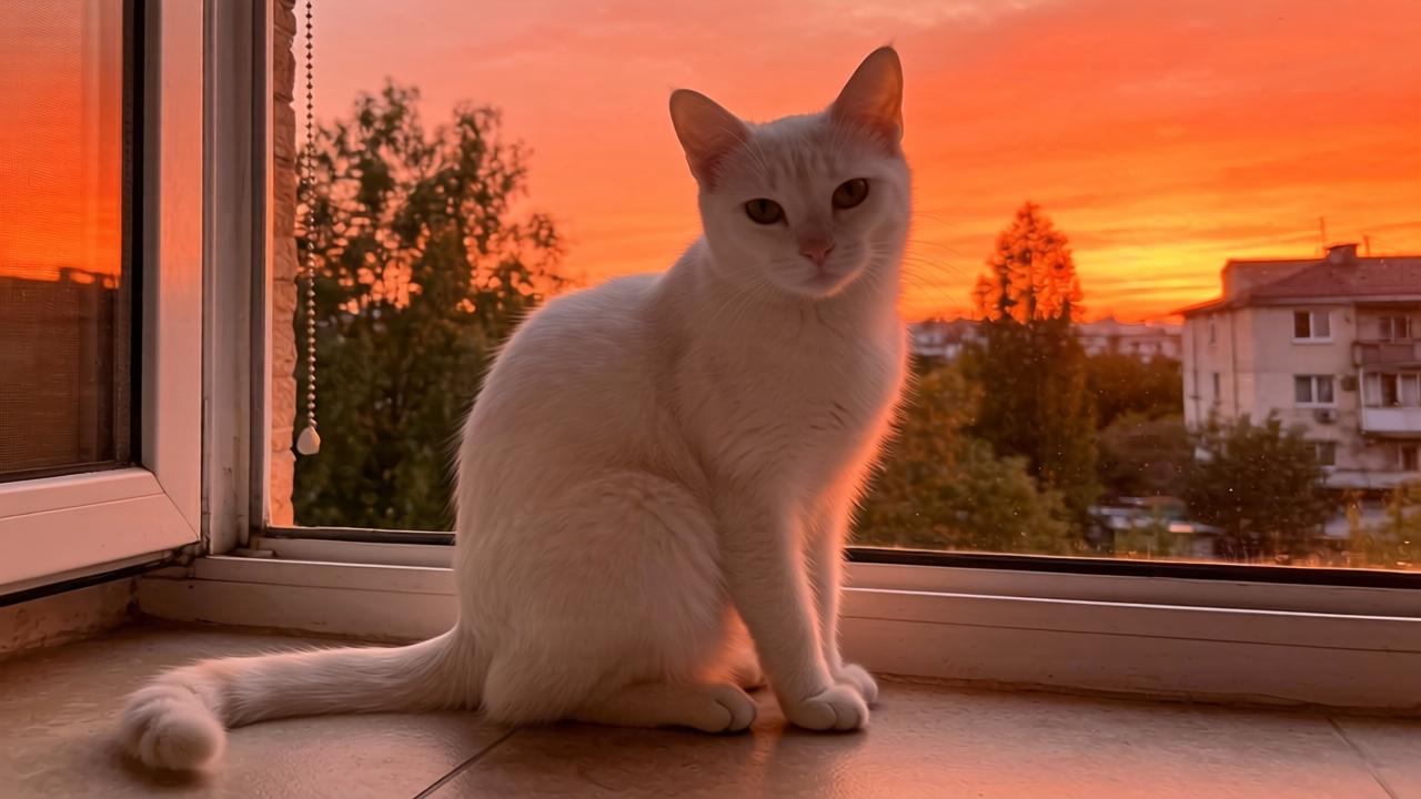 【洞察】身高检测需求释放 将带动生长激素（GH）测定市场扩容第一张图